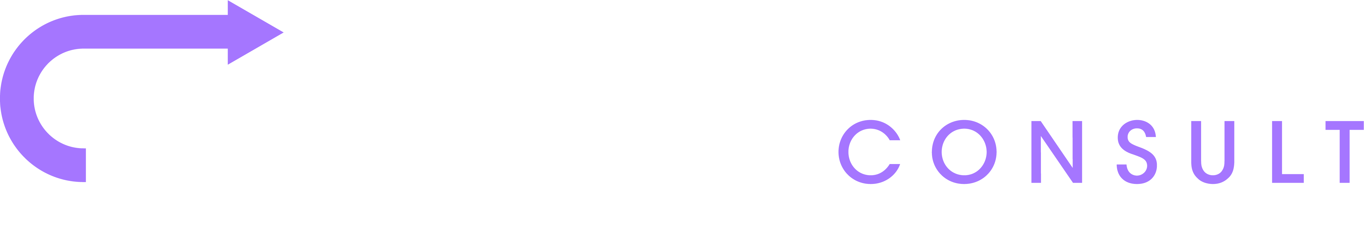 Fribert Consult